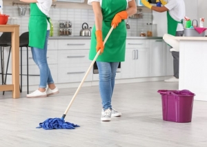 Choose us to avail with the best Pest and deep cleaning services